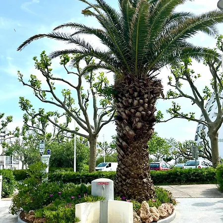 Cabines, Vue & Etang, A Pied * La Grande-Motte